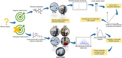 Metabolomic Insights Into Endophyte-Derived Bioactive Compounds